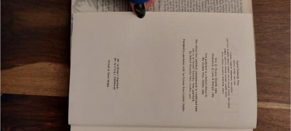 The Tain: Translated from the Irish Epic Tain Bo Cuailnge
