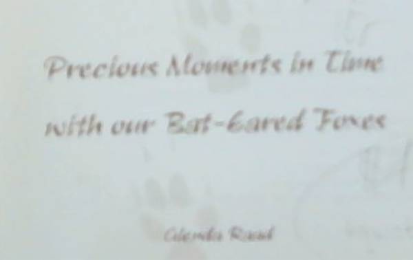 Precious Moments in Time with Our Bat-Eared Foxed (Signed by the Author Glenda Raad)