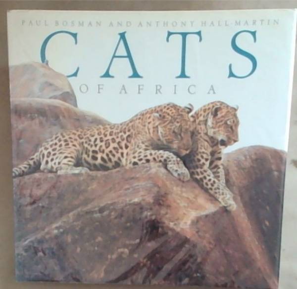 Cats Of Africa