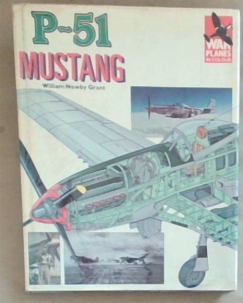 P-51 Mustang (War Planes in colour)