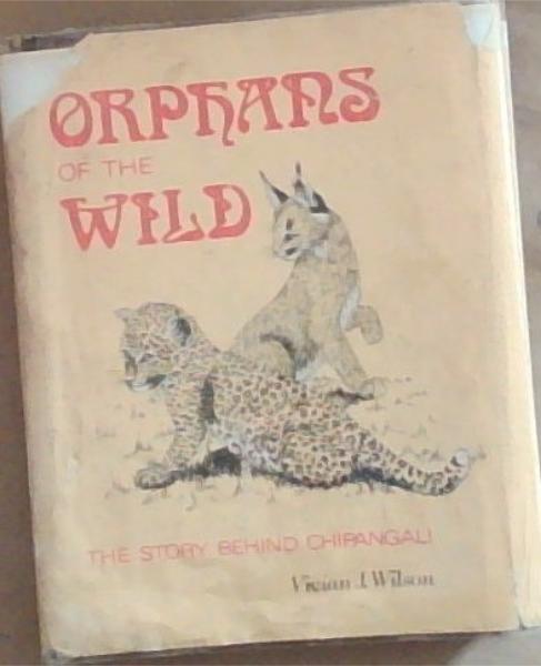 Orphans Of The Wild: The story Behind Chipangali