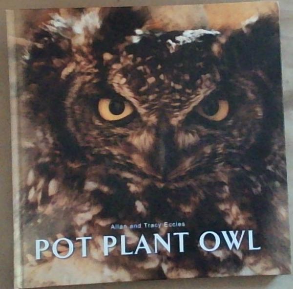 Pot Plant Owl: Moments in Time - A Personal Journal Recording Our Observation during the stay of 