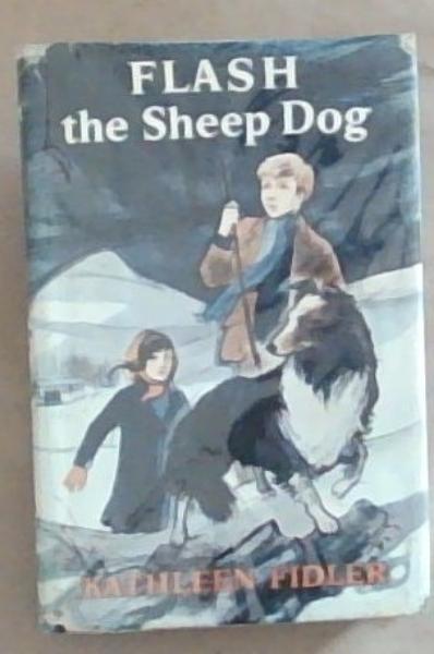 Flash The Sheep Dog