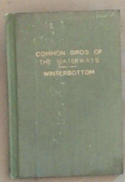 Common Birds Of The Waterways