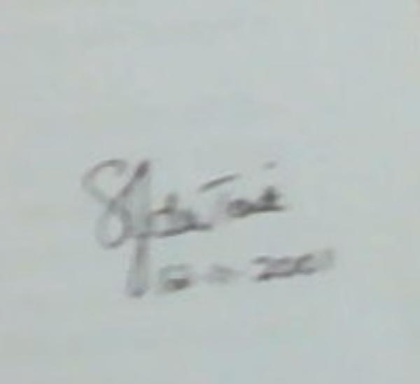 Stanford Stories II: More stories of Stanford (Signed by the Author SJ Du Toit)