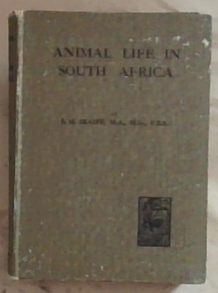 Animal Life In South Africa