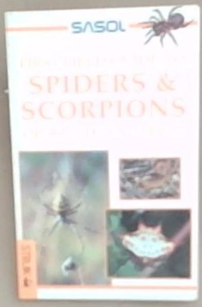 First Field Guide to Spiders and Scorpions of Southern Africa
