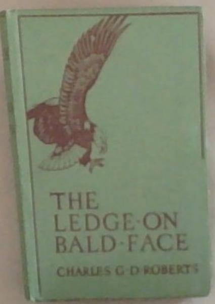 The Ledge On Bald Face