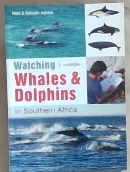 Image for Watching Whales & Dolphins in Southern Africa Watching Whales & Dolphins in Southern Africa