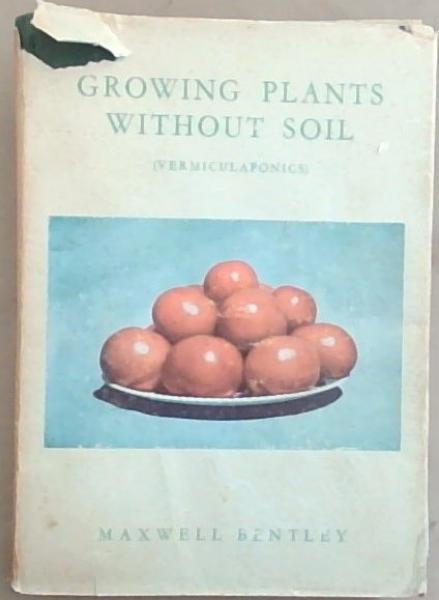Growing Plants without Soil
