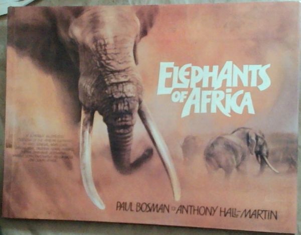 Elephants Of Africa