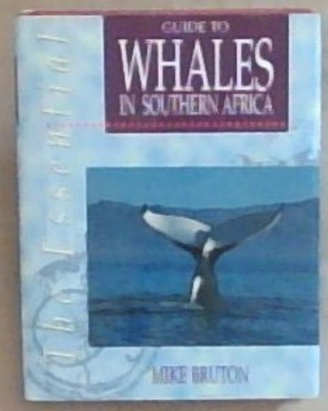 The Essential Guide to Whales in Southern Africa