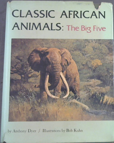 Classic African Animals : The Big Five