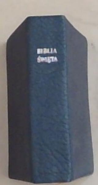 Biblia to jest Pismo Swiete Starego I Nowego Testamentu