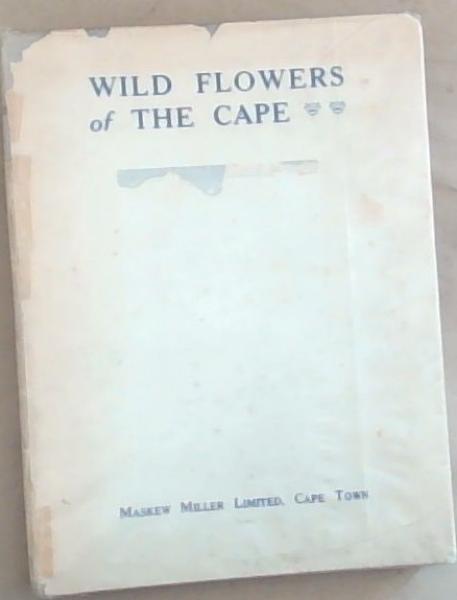 Wild Flowers of the Cape