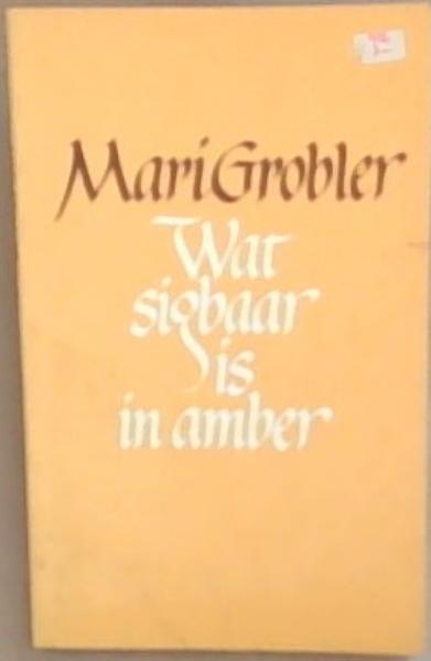 Wat Sigbaar Is In Amber
