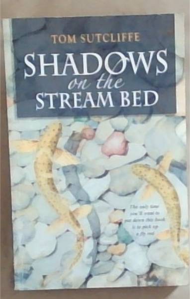 Shadows on the Stream Bed