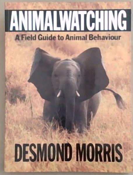 Animal Watching