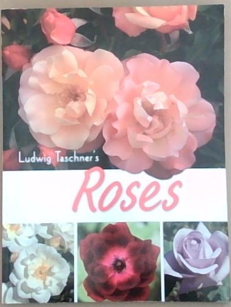 Ludwig Taschner's Roses