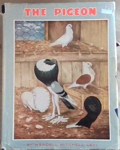 The Pigeon