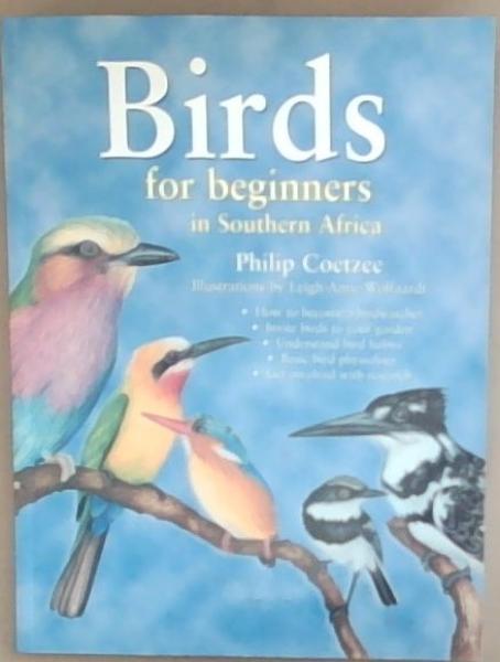 Birds for Beginners in Southern Africa