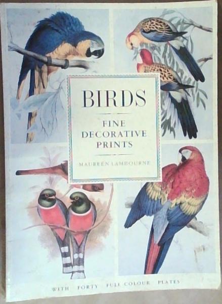 Birds : Fine Decorative Prints