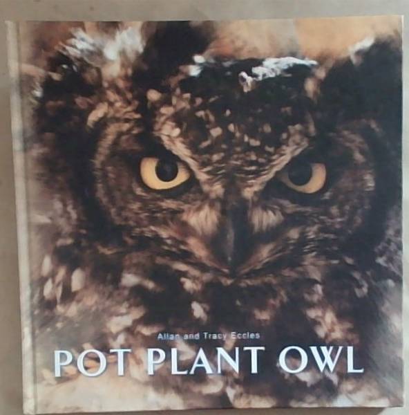 Pot Plant Owl